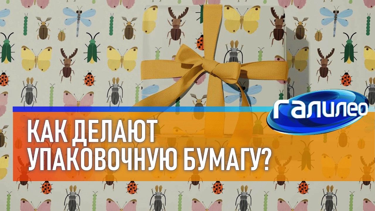 Галилео Как делают упаковочную бумагу? смотреть онлайн