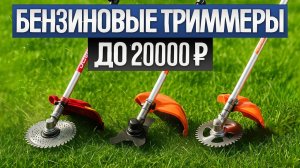 ТОП-5: Лучшие БЕНЗИНОВЫЕ ТРИММЕРЫ (2025) || Рейтинг бензиновых триммеров || Как выбрать триммер