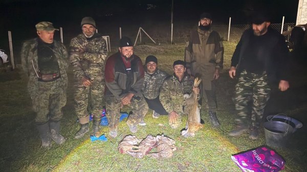 Шикарная охота на зайца