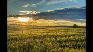 Катюша - Сергей Казначейский Россия