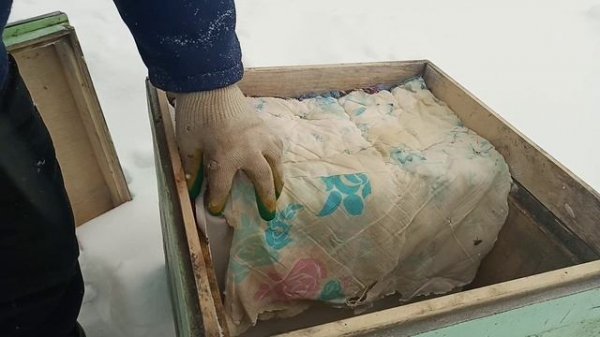 07.02.2026. Зимовка пчёл на воле. Подкормка. Зимовка в ульях ППС и дерево. Обзор.