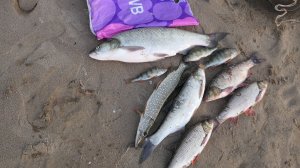 Рыболовные путешествия 2025.