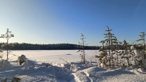 Щука в глухозимье.Рыбалка на жерлицы