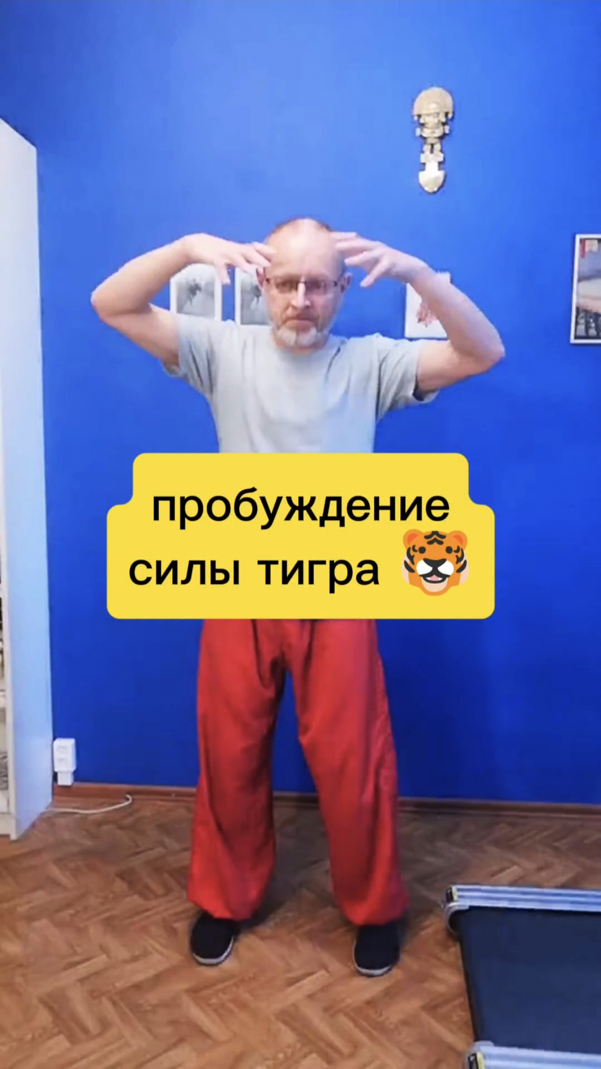 Пробуждение силы тигра: тигр поднимает лапы 🐯 (1-е упражнение комплекса Игры 5 зверей, У Цинь Си). смотреть онлайн