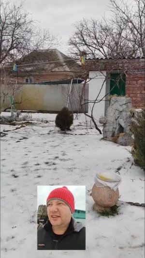 🏡СКОРО на канале! Переезд на Юг📲 8 924 540 49 92 Виктор Саликов 🌴