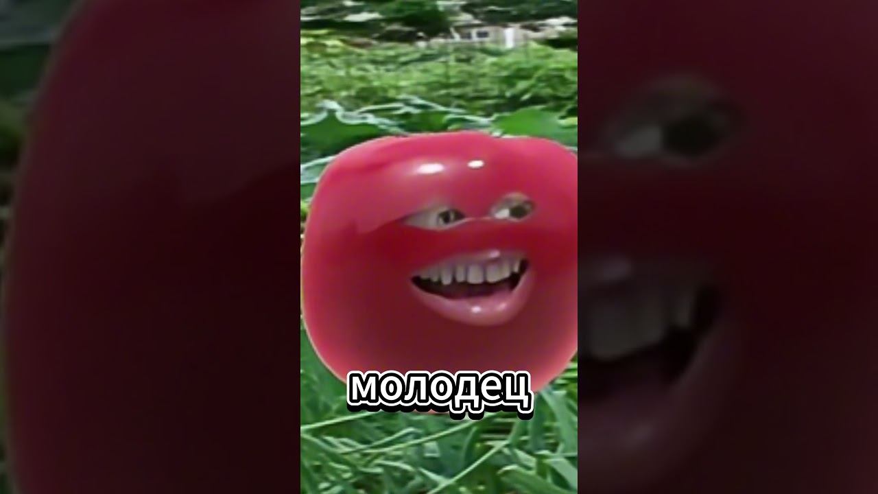 Страшный секрет Картошки! #shorts #sleduck #miuchia #fyp #funny #maroosha смотреть онлайн