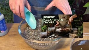 Подготовка грунта для посадки: что важно учесть