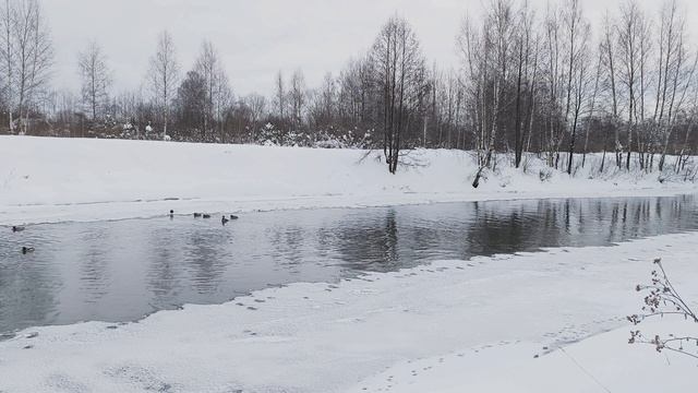 Река Уводь. ч.1. Февраль 2026