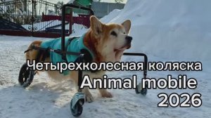 Четырехколесная коляска с верхней рамой