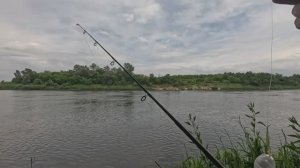 Река Дон. С ночёвкой!