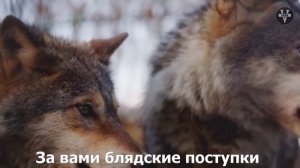 Garik Garik - Судьба капканы расставит (субтитры)