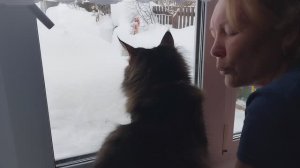 Влог 8.02.26г.//Борьба со снегом//Делаю салат//Топлю баню!