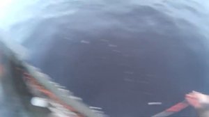 1000022985.mp4