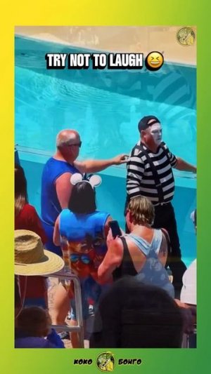 Том Мим Шоу