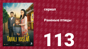 Раненые птицы 113 серия (сериал, 2019)