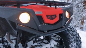 Квадроцикл - снегоболотоход Т9 mini winter