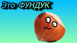 ЭТО ФУНДУК (Премьера клипа 2026)