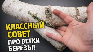 Да этом микробизнесе можно кучу денег поднять!