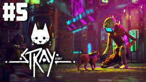 Stray прохождение #5 Мидтаун