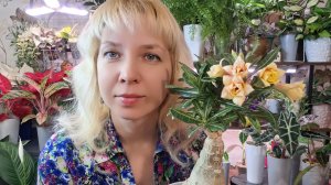 Обзор растений на продажу