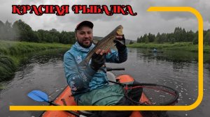 КРАСНАЯ РЫБАЛКА — ГОЛАВЛЬ НА СТРЕМНИНЕ