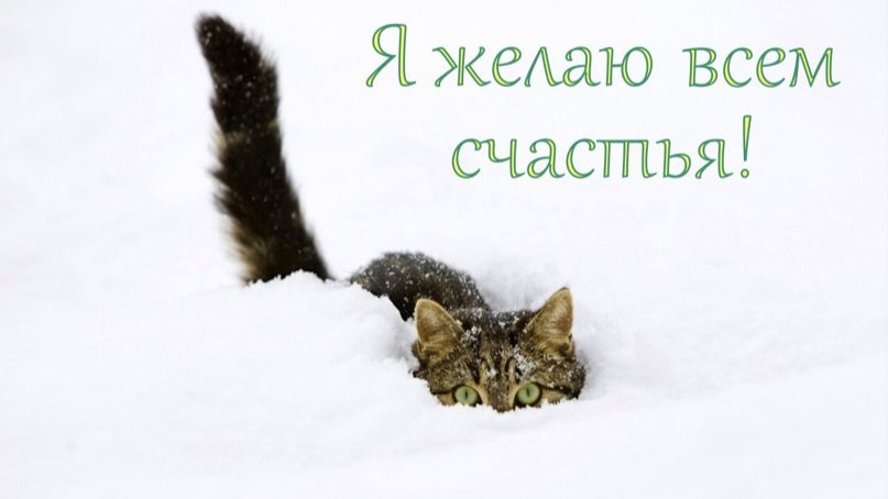 Молитва за мир во всем мире! Live 10.02.2026 смотреть онлайн