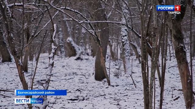 ВЕСТИ КРЫМ: выпуск 09.02.2026 21:10 смотреть онлайн