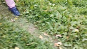 неудачные видео