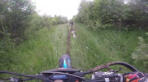 Путь Сусанина 2025 2 3