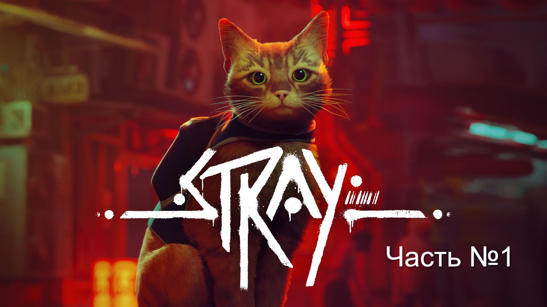 Прохождение игры STRAY на русском.  Часть № 1. Без своих комментариев.