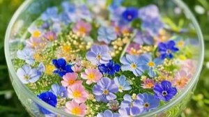 Кальмер Тенносаар Летка-Енка