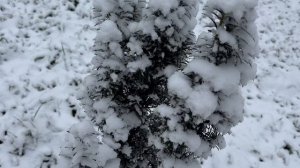 Свежие новости о погоде | Почтовые ящики ломились | #краснодар#мирувлечений