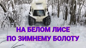 "Жизнь Пенсионера".. На Белом Лисе по зимнему Болоту