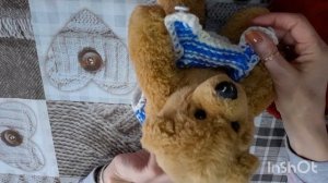 ИТОГИ ТРИОСТАРТОВ ФЕВРАЛЯ-2026... две готовые работы.👏👏👏