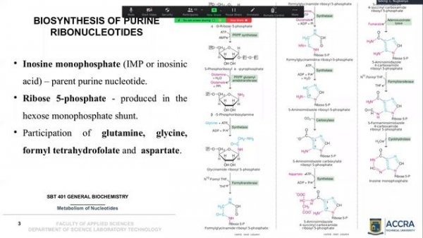 Lipid_Metabolism II & Nucleic Acid Metabolism
