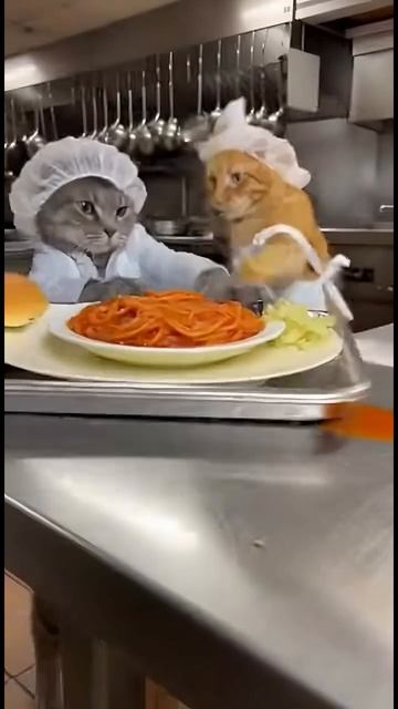 Насвинячил)))