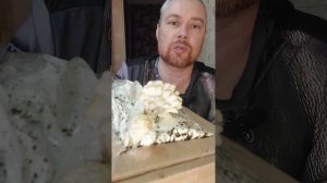 Пюре с горбушей холодного копчения. Бросаю пить, день 20. Мукбанг, еда на камеру. Мукбанг Россия