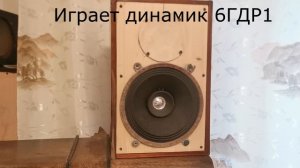 Сравнение динамика 6ГДР1 с динамиком Blaupunkt.