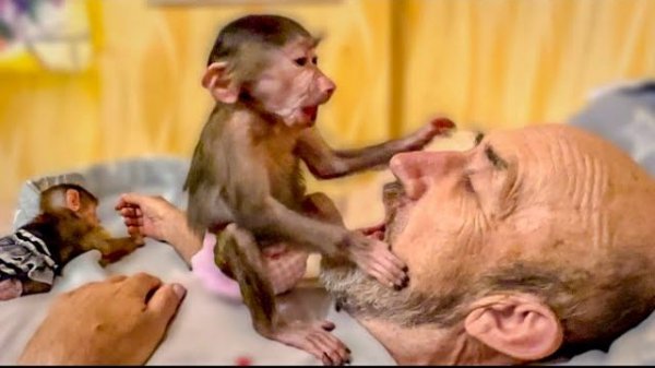 Степашка и Маняшка связали папу Влада по рукам и ногам)))