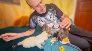 Мы созвонились с доктором и в понедельник Маня едет НА ОБСЛЕДОВАНИЕ! Мы будет точно знать ЧТО С НЕЙ!