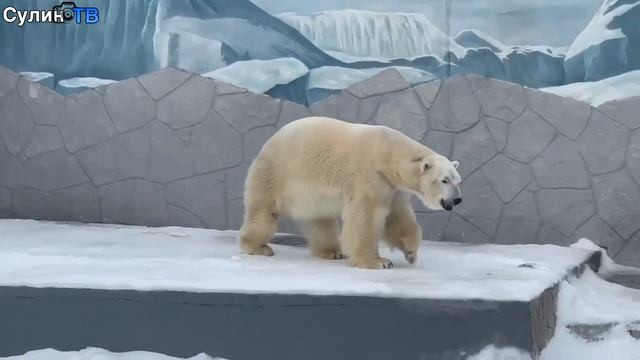 Быстрые новости 09 02 26 смотреть онлайн