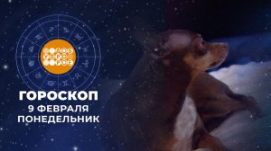 Гороскоп на 9 февраля. Доброе утро. Фрагмент выпуска от 09.02.2026