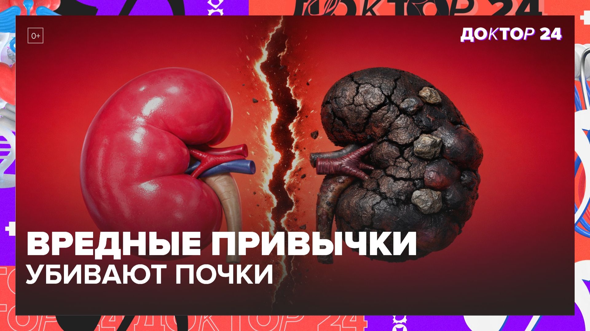 Как сохранить здоровье почек: симптомы, анализы, продукты и вредные привычки | Доктор 24 смотреть онлайн