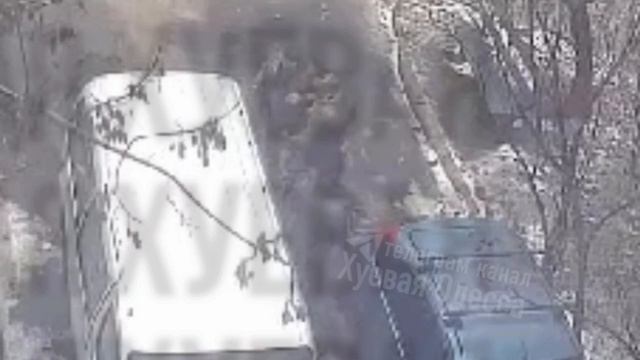 telegram-cloud-document-2-5208552448116955107 смотреть онлайн