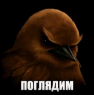 продаю шарики на легит ворлд