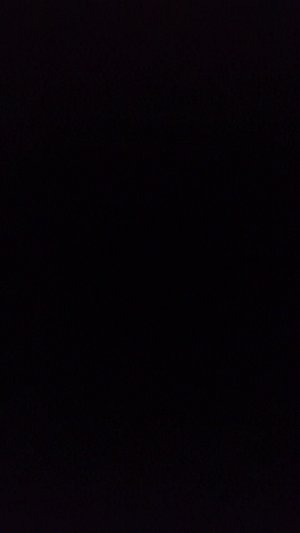 Курс по фитнесу тюленя!