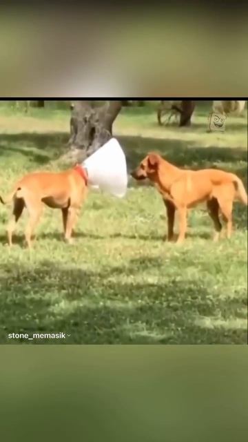 Покупаем металлолом смотреть онлайн