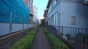 Токио Накамегуро закат и ночная прогулка зима 2026 🚶♂️✨