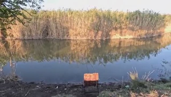 Рыбалка в канале, ловля карася на поплавочную удочку