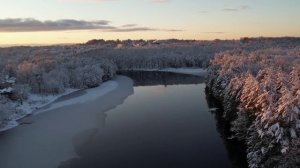 Лесной утренник - природа просыпается